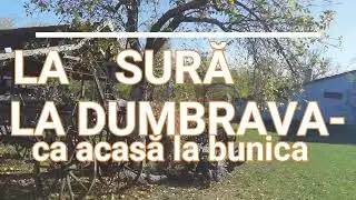 HAI LA SURA DUMBRAVA -Ca acasă la bunica !!