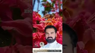 ചുറ്റുമുള്ളവരെ മനസ്സിലാക്കാൻ | | Rev. Aneesh P Joseph | #shorts #motivation #christiansongs