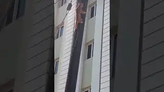 Испуганный кот описался / the cat pisses with fear