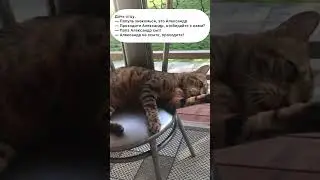 Дочь отцу... #анекдототкожаного