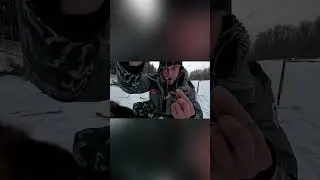 Убойная Снасть! |рыбалка в России | #fishing  #рыбалка #shorts