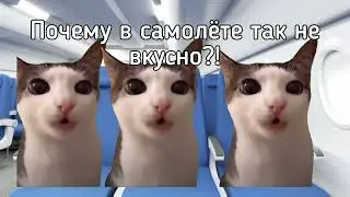 POV: Ты Полетел В Другую Страну ✈️✈️✈️ - Серия 19