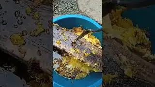 Миска для воску