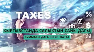 Кыргызстанда салыктын саны дагы, суммасы дагы өсүп жатат