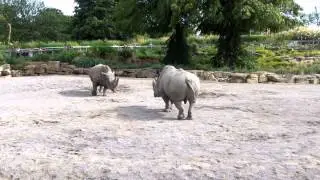 IMG 1152