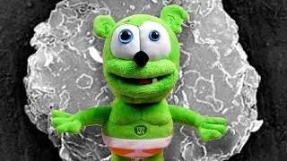 Gummy Bear has Dandruff - Internet Gold