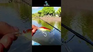 Light Casting Muara Sungai #simancing #fishing #mancingmania