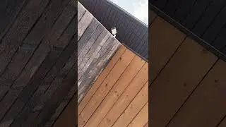 Для чего подойдёт скрытый крепёж?