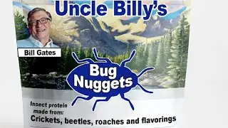 Uncle Billy's Bug Nuggets - Cricket Meat Substitute