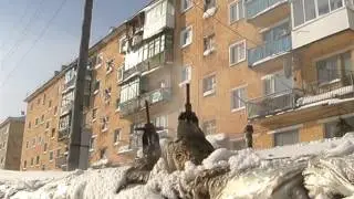 У проштрафившегося главы Вершины Тёи нашлась престранная защитница