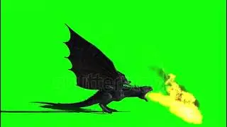 fire breathing dragon flying on green Stock Footage Video
