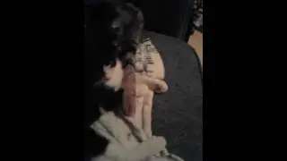 Als mensen zo met elkaar om zouden gaan