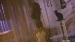 Catwoman demands OBEDIENCE!