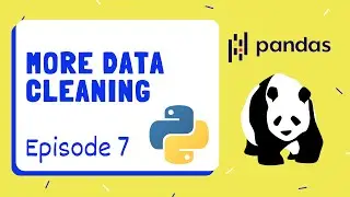 More Data Cleaning with Custom Functions (Data Cleaning Part 2) - Pandas | Python ~ Episode 7