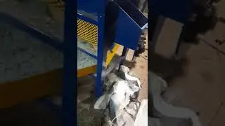 Дробилка для стекла триплекс, разделяет от пленки