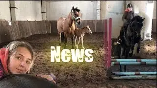 КоноБлог/ Новости. Родился жеребёнок? 🎊