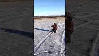 Охота с манком