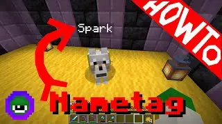 Minecraft: How to Use and Rename a Nametag - Tutorial