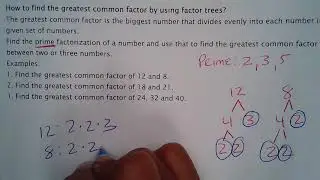 Math with Marilyn-  GCF using the Factor Tree and Prime Factorization