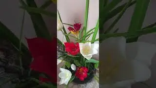 Увлекаюсь японской культурой.