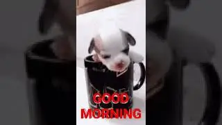 selamat pagi
