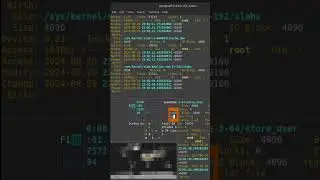 Linux - look like a hacker 