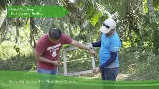 Staking and Holing (Part 3/4)