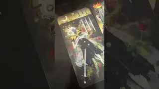 #таро