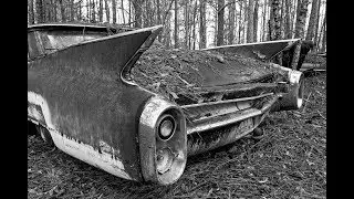Landscape Photography: Rusty Antique Cars in the Forest