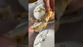 Далматин