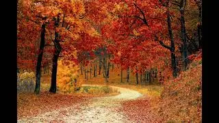 Ludovico Einaudi - Experience