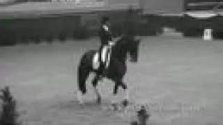 I AM EQUESTRIAN part 2
