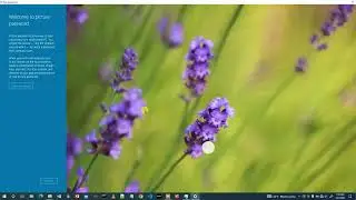 User Account Settings - Username, Password, Profile Picture
