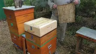 Работа с пчелоудалителем