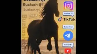 Buzkash TJ 1 в прямом эфире!