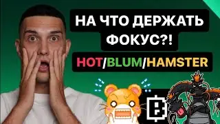 ЧТО ТОЧНО СТОИТ ФАРМИТЬ?! HAMSTER KOMBAT/HOT/BLUM