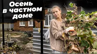 ОСЕНЬ В ЧАСТНОМ ДОМЕ | УБРАЛА ВИНОГРАД
