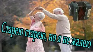 Старею старею, но я не жалею Демо-разбор на гармони