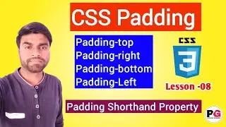 How to Set Top Bottom Left Right Padding in CSS || CSS Padding Set || Web Page Design in CSS