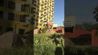Выклала это видео на сходке