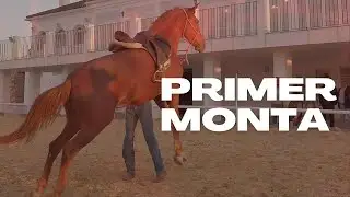 Primera monta CABALLO CERRIL en Andalucia