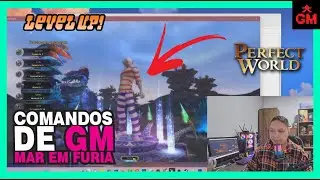 COMANDO DE GM EM CONSOLE PERFECT WORLD MAR EM FÚRIA, UPAR, DUPAR ITEM NO CHÃO, PWRAIZ