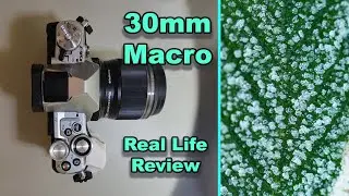 OLYMPUS 30mm Macro Review | Versatile & Affordable