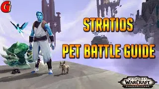 Stratios Pet Battle Guide - Shadowlands