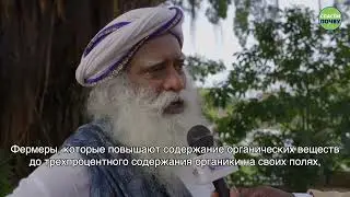 Каково решение проблемы вымирания почв, с которой столкнулась планета?