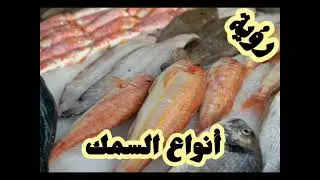 انواع السمك في رؤية في المنام