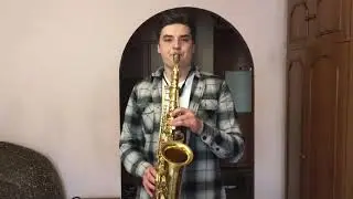 Duke Ellington "Take the a train"(saxophone cover by Богдан Долгий)