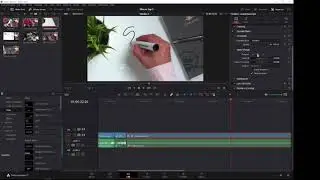 how to reverse a clip in davinci resolve.mp4
