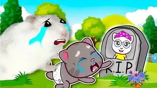 Angela! Please Come back to Talking Tom baby - Hamster and Tom really miss Angela | Funny Hamster