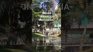 PELANGI DI TAMAN SEMANGGI - jakarta indonesia #shorts